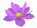 عکس mmpi